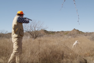 Texas Hill Country Quail - Dove Hunt at the 4r ranch